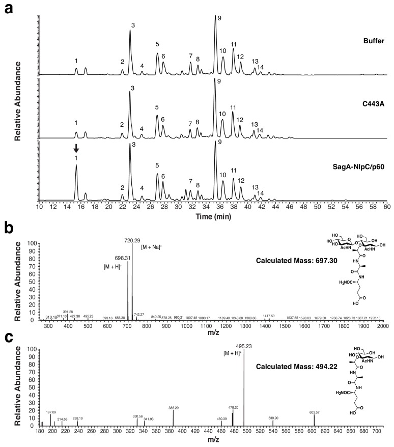 Figure 4—figure supplement 4.