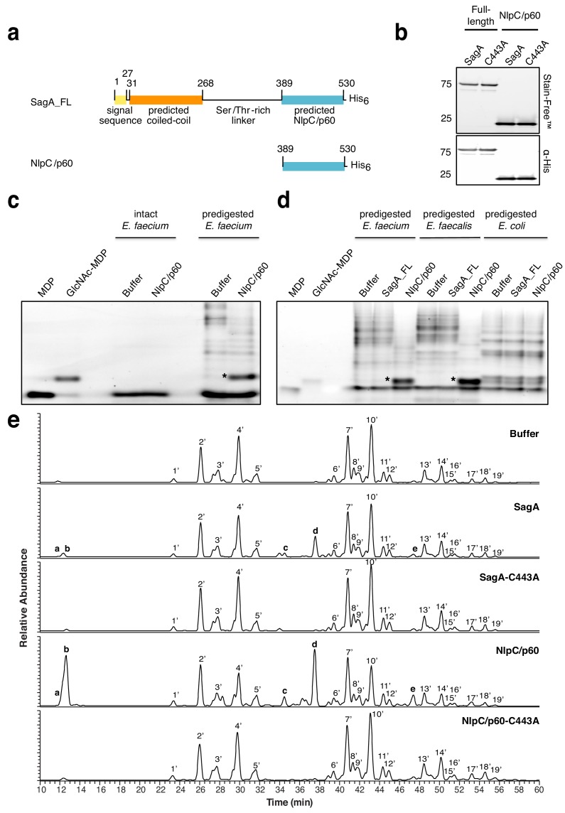 Figure 3—figure supplement 3.