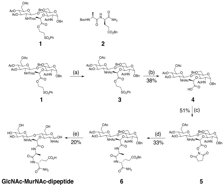 Figure 5—figure supplement 1.