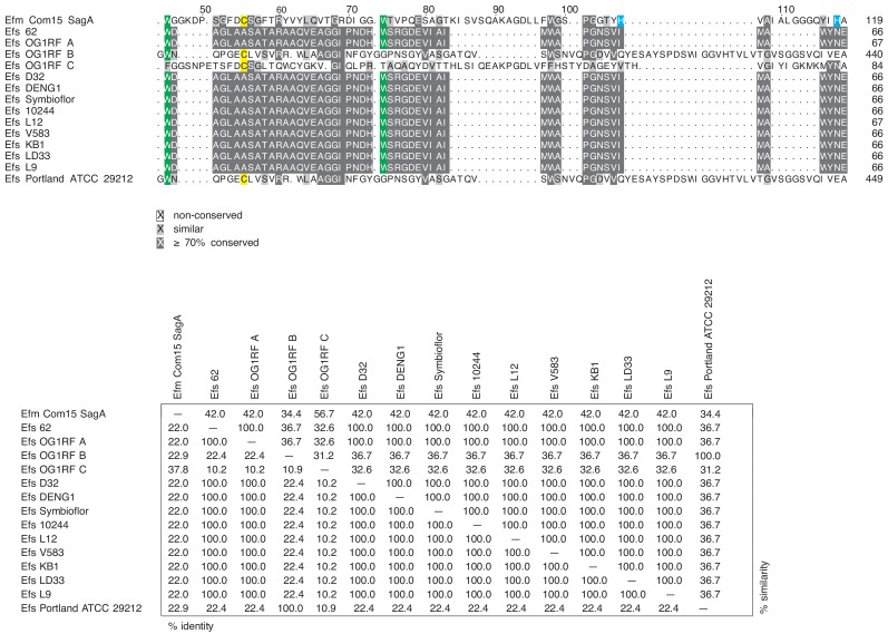 Figure 3—figure supplement 1.