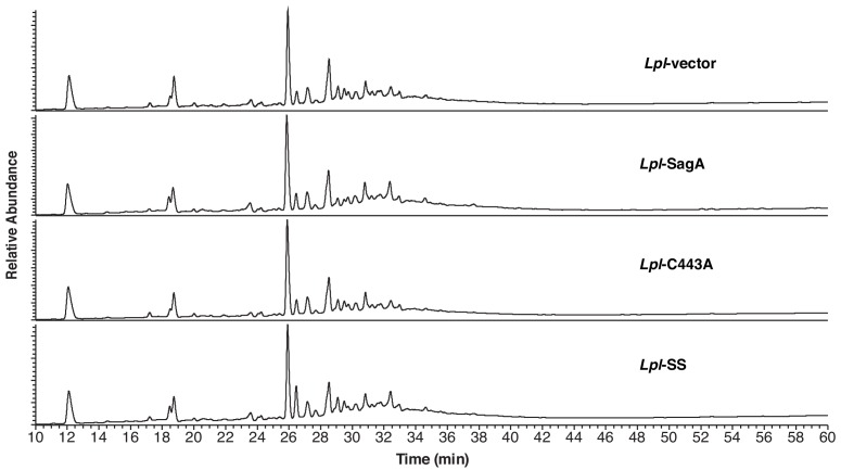 Figure 5—figure supplement 8.