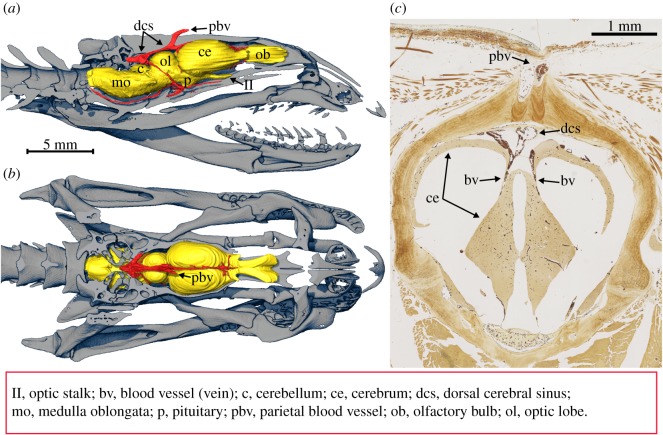 Figure 2.