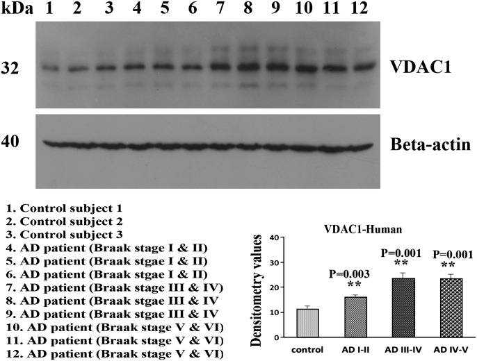 Figure 1.