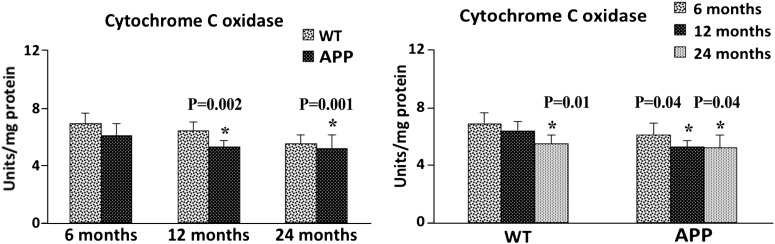 Figure 11.