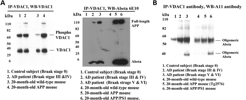 Figure 4.