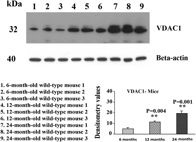 Figure 2.