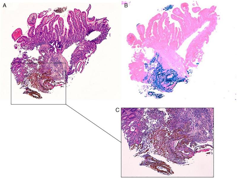 Fig. 4.