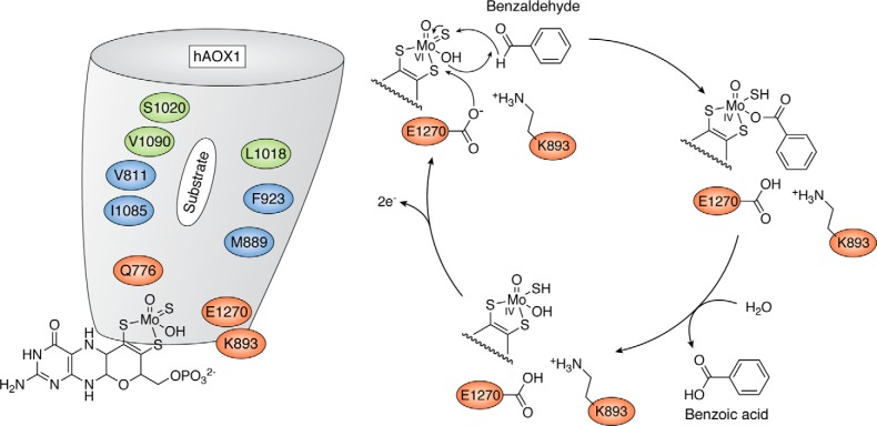 Figure 4.