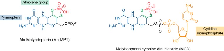 Figure 3.