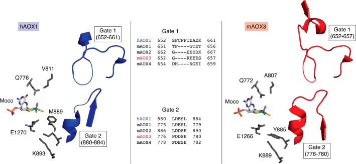 Figure 7.