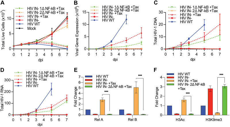 FIG 2