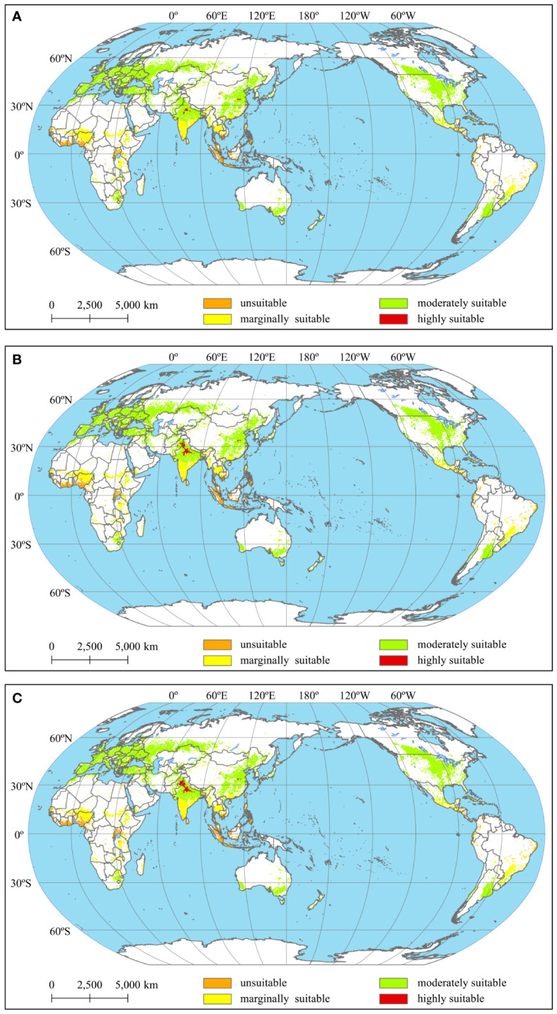 Figure 3