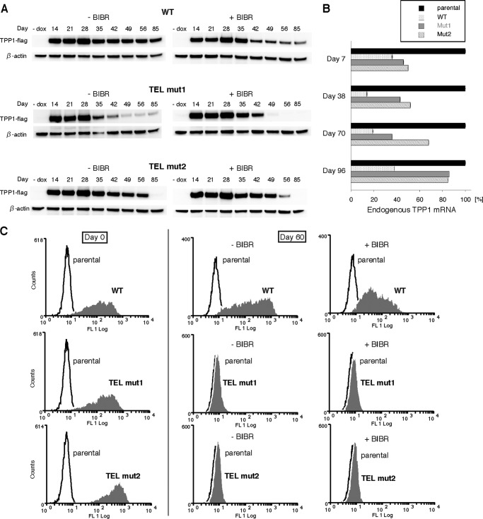 FIGURE 7.