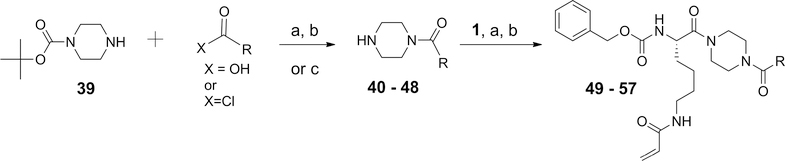 Scheme 5.