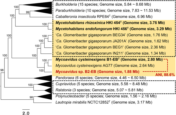 FIG 3