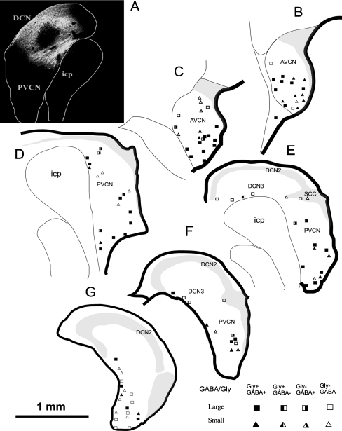 FIG. 5.