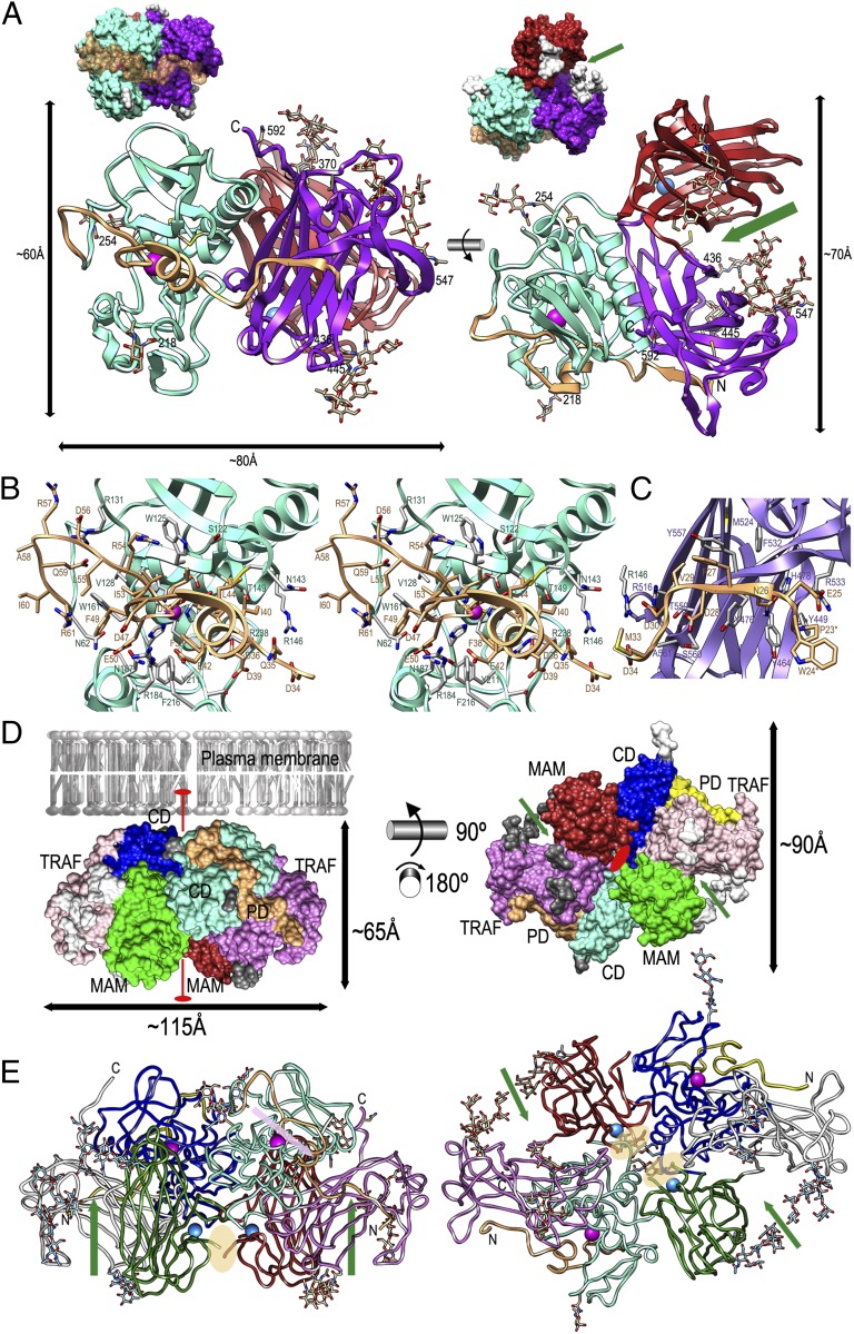 Fig. 1.