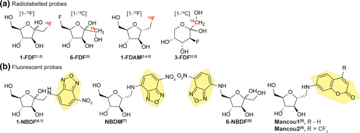 Fig. 13