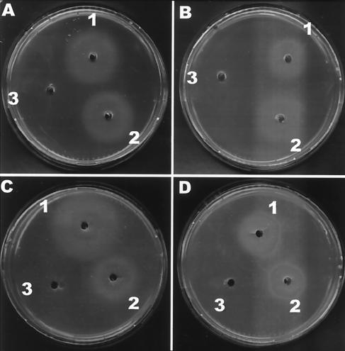 FIG. 2.