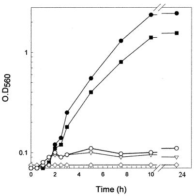 FIG. 1.