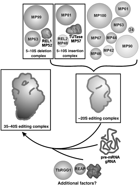 Figure 10