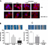 Fig. (3)