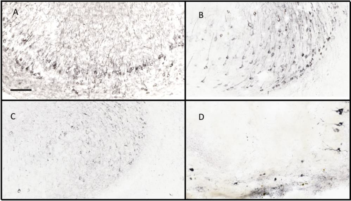 Figure 4.