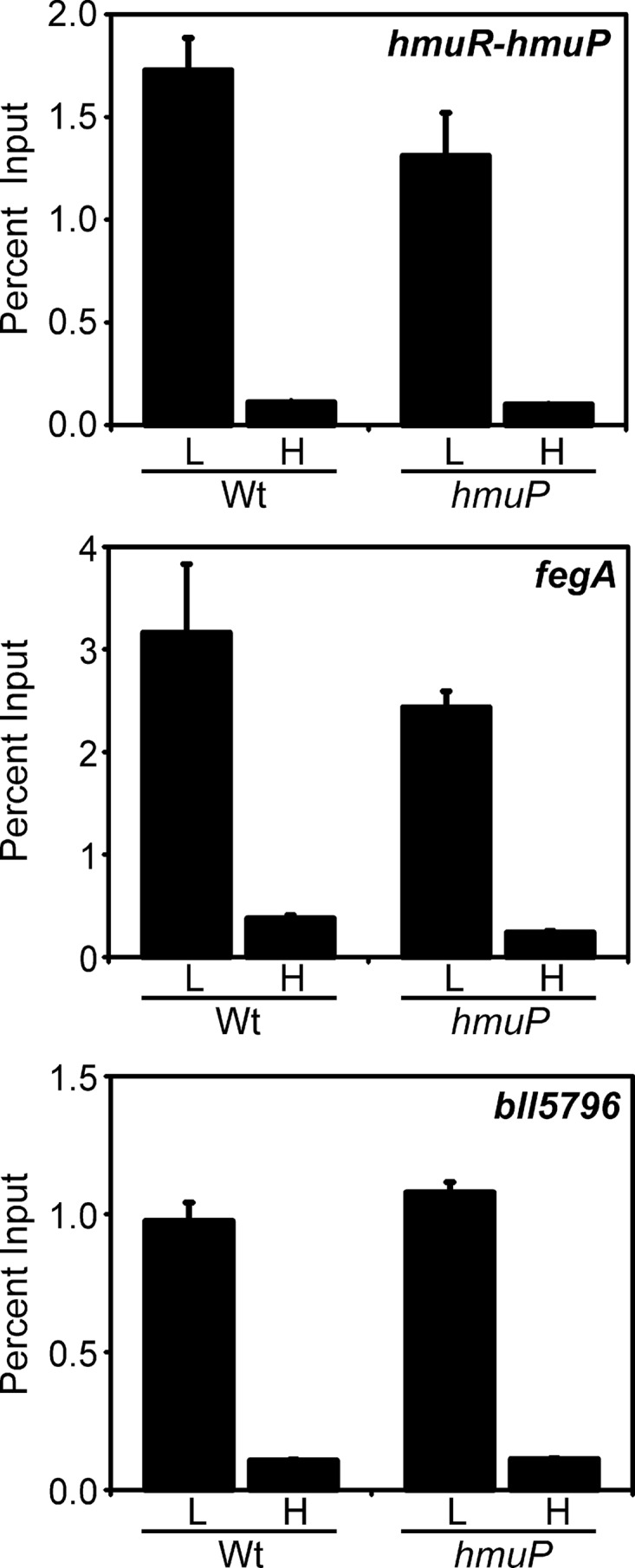 Fig 5