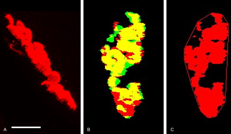 Fig. 1