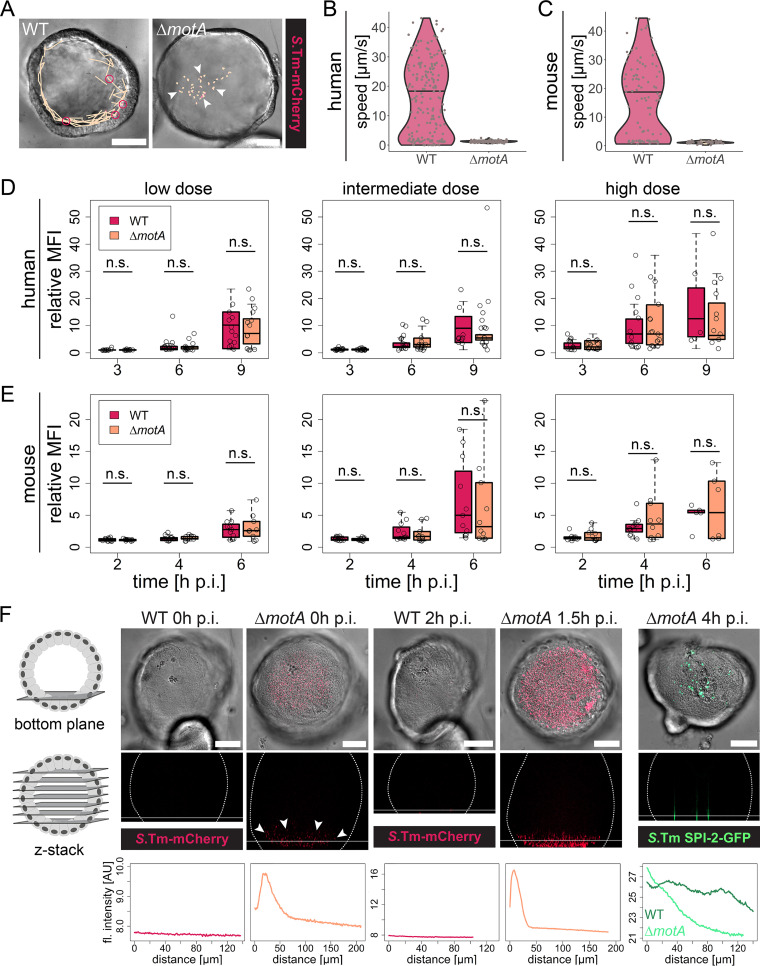 FIG 3