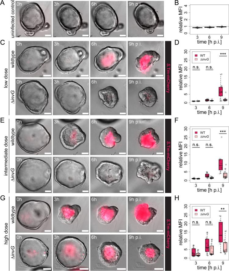 FIG 2