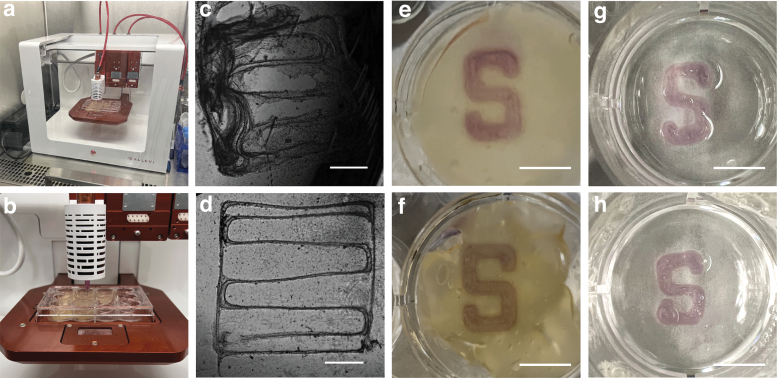 FIG. 3.