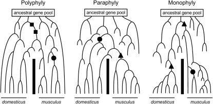 Figure 1.—