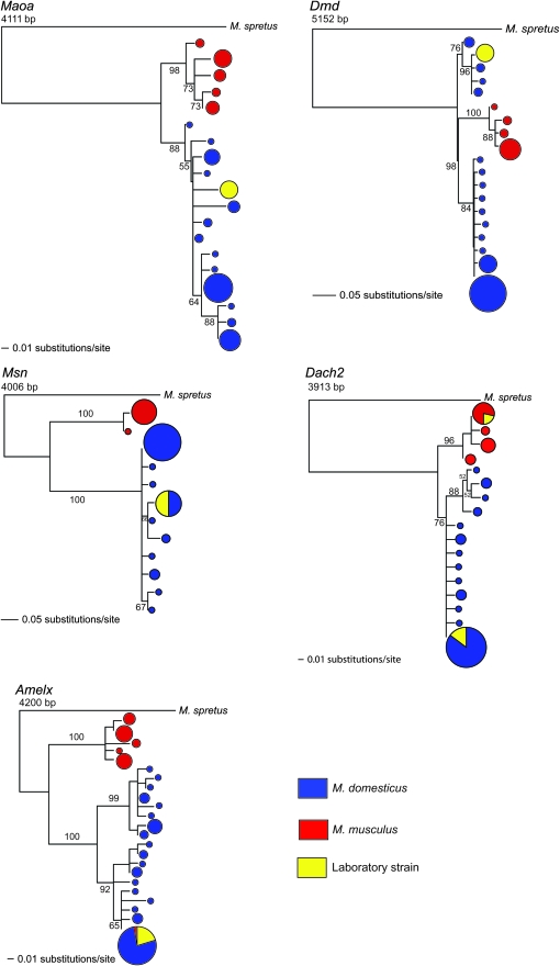 Figure 2.—