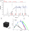 Fig. 10