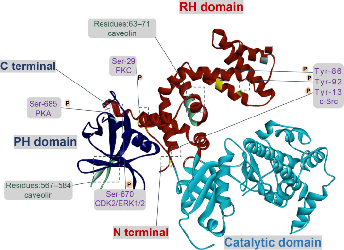 Figure 1