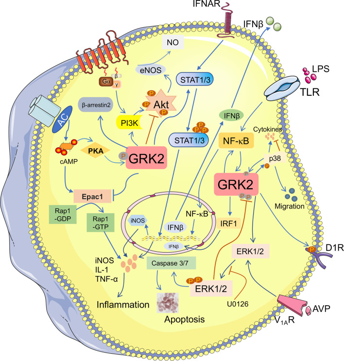 Figure 2