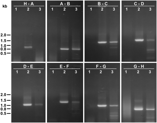 FIGURE 2.