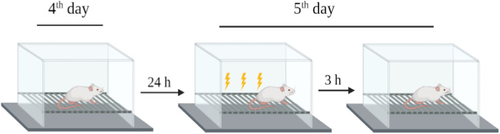 FIGURE 3