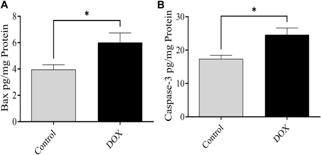 FIGURE 11