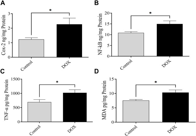 FIGURE 10