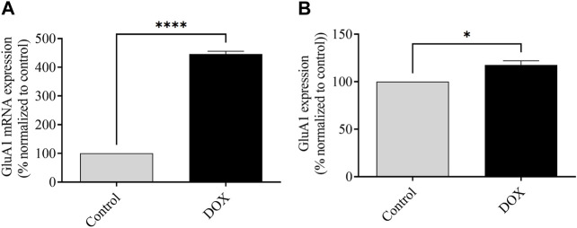 FIGURE 12