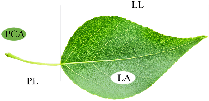 Fig. 2