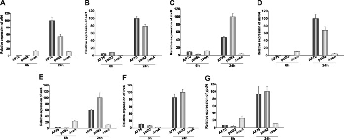 FIG 4