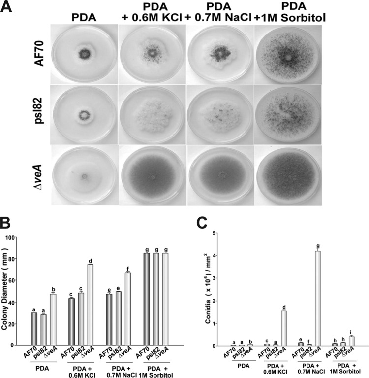 FIG 1