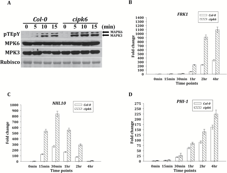 Fig. 6.