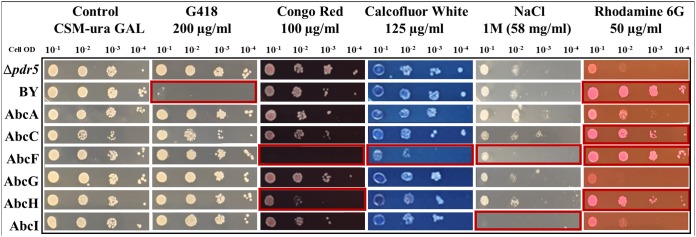 FIG 2