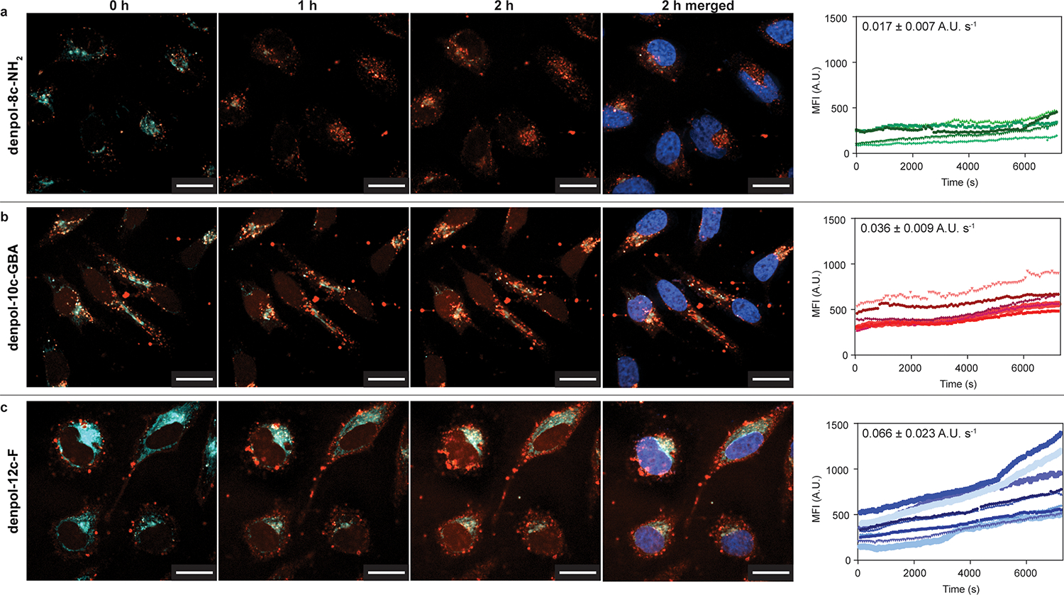 Fig 3.