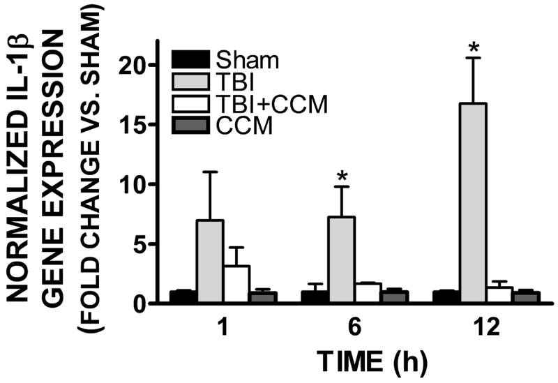 FIGURE 5