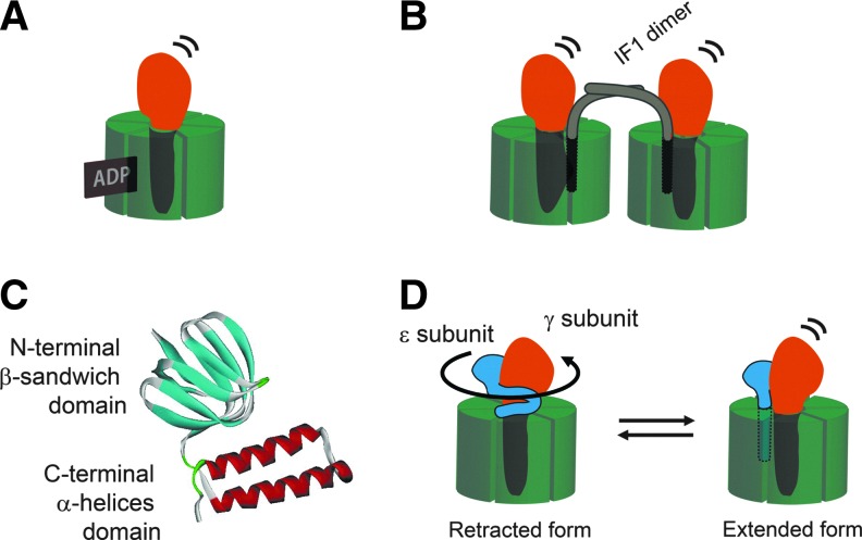 FIG. 2.